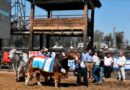 La Expo Santiago Productivo 2025 mostrará lo mejor de la producción, el trabajo y la innovación local