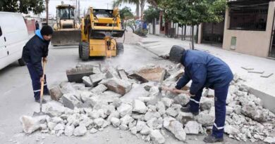 Obras Públicas de la Capital continúa con su programa de mantenimiento de calzadas en el barrio Borges