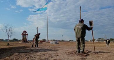 La Municipalidad realizó un operativo de reposición de árboles en la rotonda del barrio Autonomía y en la costanera Diego Maradona