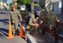 Parques y Paseos de la Municipalidad trabajó en la renovación de la pintura de los canteros de avenida Belgrano