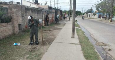 La Municipalidad comenzó la plantación de más de 2.300 árboles en el barrio La Católica