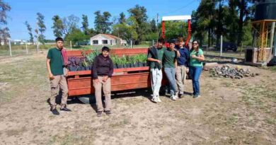 La Municipalidad de Fernández recibió nuevas especies arboreas para las plazas