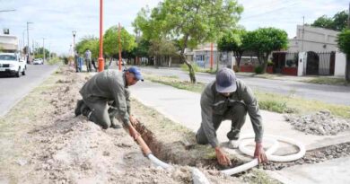 La Municipalidad renueva las luminarias del sector sur de la avenida Colón