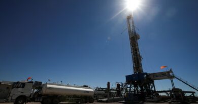 Los dólares que generó Vaca Muerta en 2025 equivalen a casi el 90% del superávit comercial de la Argentina