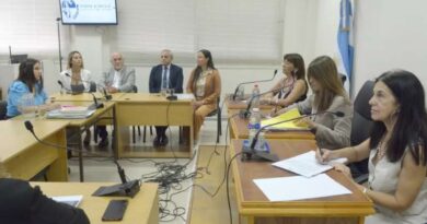 Caso Torres: la Cámara de Apelaciones debe definir la competencia de Género en el caso