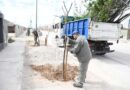 La Municipalidad Capital inició la plantación de más de 1.500 árboles en el barrio Parque del Río III