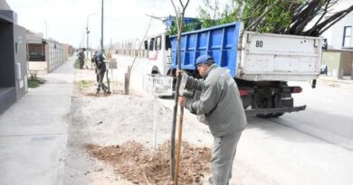 La Municipalidad Capital inició la plantación de más de 1.500 árboles en el barrio Parque del Río III