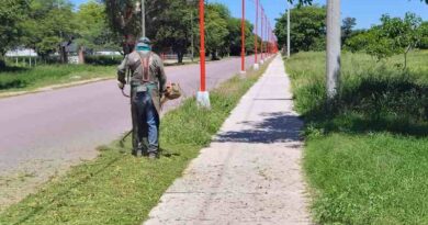 Continúan los trabajos de desmalezado en Fernández