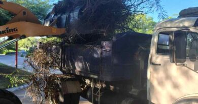 La municipalidad trabaja en la limpieza y mantenimiento del parque Aguirre