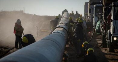 “Frankenstein” Rocca vs Milei: El Gobierno no cede en la disputa con Techint y el conflicto por la licitación en Vaca Muerta tiene final incierto “Frankenstein” Rocca vs Milei: El Gobierno no cede en la disputa con Techint y el conflicto por la licitación en Vaca Muerta tiene final incierto