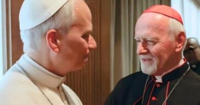 Bokalic se reunió con el Papa León XIV y lo invitó a visitar Santiago del Estero