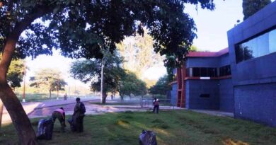 Trabajos de desmalezado en la Avenida del Agro