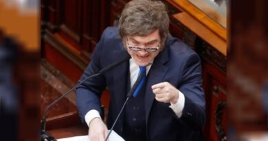 Un Milei “auténtico” que rompió puentes con la oposición y una agenda parlamentaria en suspenso