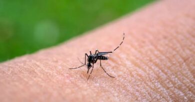 Tres nuevos casos de Chikungunya en Santiago del Estero