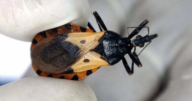 Semana por una Argentina sin Chagas: actividades del 14 al 17 de abril