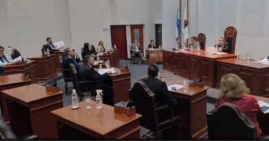 HCD: Diversas iniciativas se sancionaron