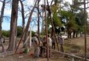 La Municipalidad de Fernández adquirió nueva bomba de agua para el Paraje El Quemao