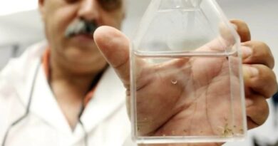 Reportan aparición de un caso de chikungunya en Santiago capital
