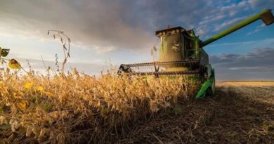 Dato refleja que el campo perdió rentabilidad con relación a 2023