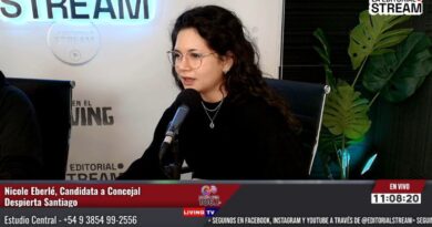 Nicole Eberlé: “en Despierta Santiago encontramos un espacio de total libertad para hacer política”