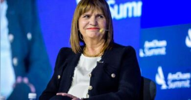 Ley de tierras: ante el riesgo de derrota en el Senado, el Gobierno eliminó el capítulo más polémico del proyecto