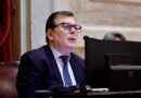 “La tierra no es un bien cualquiera”: Zamora defendió la soberanía durante el debate en el Senado