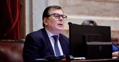 “La tierra no es un bien cualquiera”: Zamora defendió la soberanía durante el debate en el Senado
