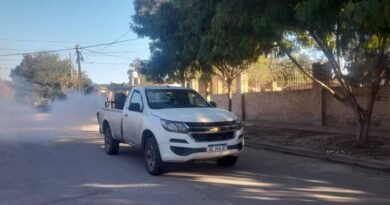 La Municipalidad informó su programa de fumigaciones para esta semana