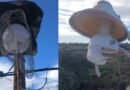 Repudio ante actos vandálicos en el alumbrado público y llamado al cuidado comunitario en Fernández