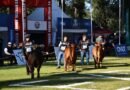 Comenzó la 19ª ExpoBra en el predio del Vivero San Carlos de La Banda