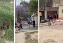 Las imágenes de los segundos posteriores al trágico accidente en el que murió el policía