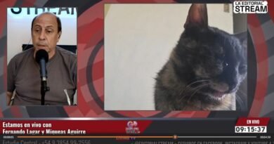Denuncian ataque a una mascota en el Barrio Inmigrantes