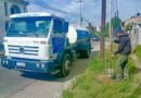La Municipalidad comenzó la plantación de más de 3.600 árboles en el barrio Primera Junta